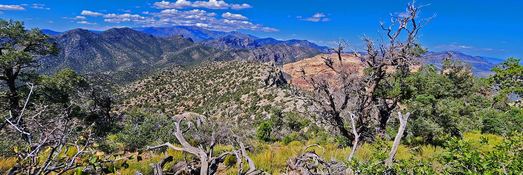 Ridge Immediately Ahead is Just Beyond Saddle at Previous Southern Extent Along Ridgeline. | Mt Wilson to Juniper Peak | Rainbow Mountains Upper Crest Ridgeline | Rainbow Mountain Wilderness, Nevada
