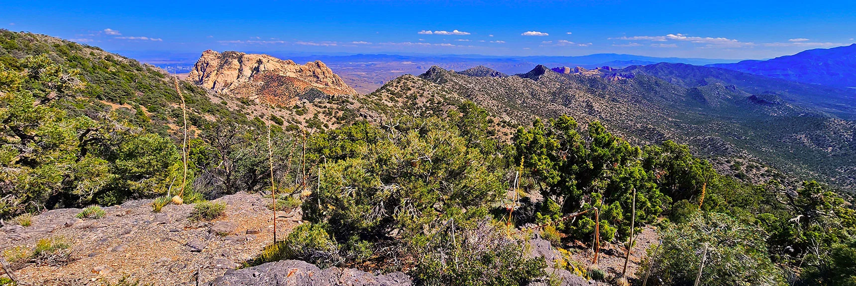 View South Along Rainbow Mts. Upper Crest Ridgeline to Potosi Mt. | Mt Wilson to Juniper Peak | Rainbow Mountains Upper Crest Ridgeline | Rainbow Mountain Wilderness, Nevada