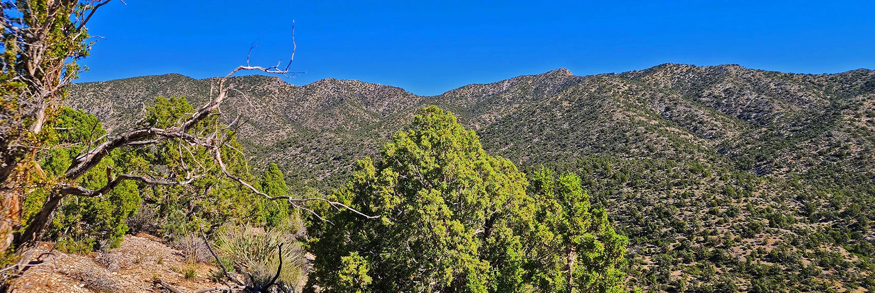 Summit of First Approach Hill Looking Up to Rainbow Mts. Upper Crest Ridgeline. | Mt Wilson to Juniper Peak | Rainbow Mountains Upper Crest Ridgeline | Rainbow Mountain Wilderness, Nevada