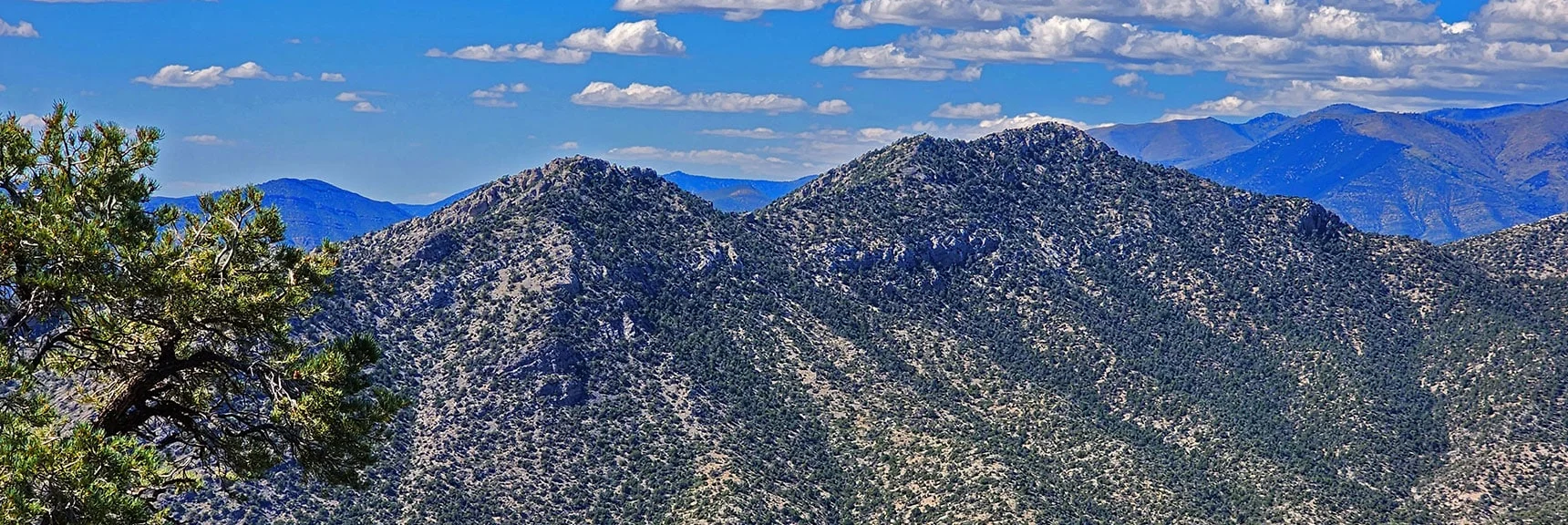 Wilson Ridgeline Toward Red Rock Summit Area. | Mt Wilson to Juniper Peak | Rainbow Mountains Upper Crest Ridgeline | Rainbow Mountain Wilderness, Nevada