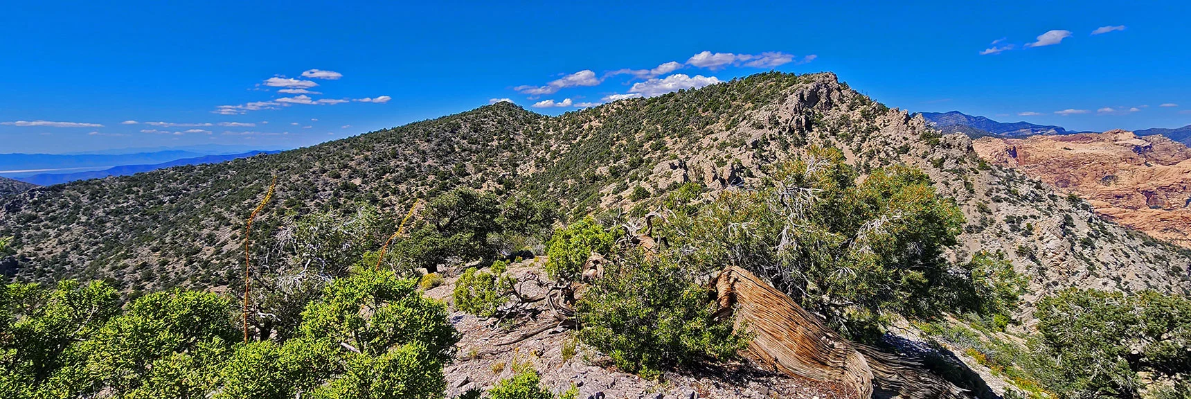Heading Toward Ridgeline High Point Above Rainbow Mt. & Juniper Peak | Mt Wilson to Juniper Peak | Rainbow Mountains Upper Crest Ridgeline | Rainbow Mountain Wilderness, Nevada