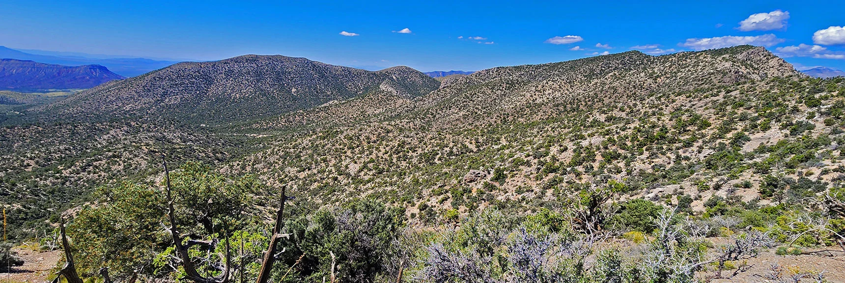 Moving North on Ridgeline. Wilson Ridge (left); Rainbow Mts. Ridgeline (right) | Mt Wilson to Juniper Peak | Rainbow Mountains Upper Crest Ridgeline | Rainbow Mountain Wilderness, Nevada