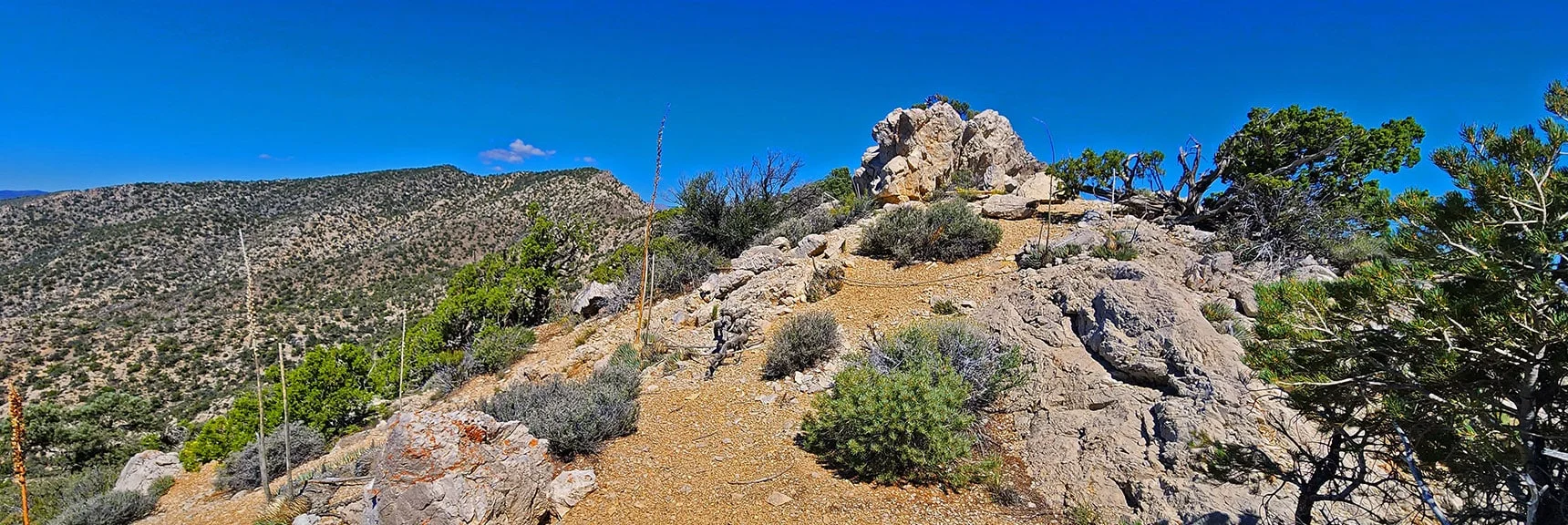 View North Along Rainbow Mts. Upper Crest Ridgeline. | Mt Wilson to Juniper Peak | Rainbow Mountains Upper Crest Ridgeline | Rainbow Mountain Wilderness, Nevada