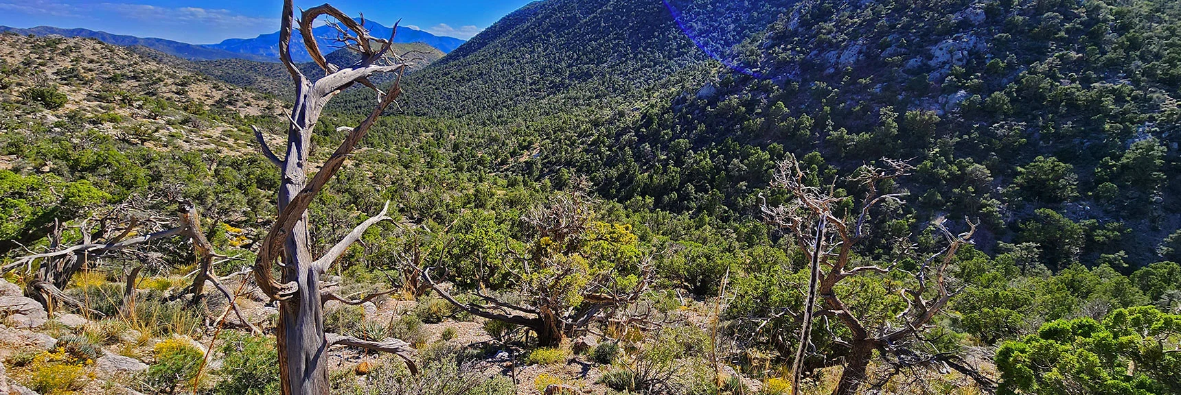 Closing in on Wash at Wilson Ridgeline Base Below Gully | Mt Wilson to Juniper Peak | Rainbow Mountains Upper Crest Ridgeline | Rainbow Mountain Wilderness, Nevada