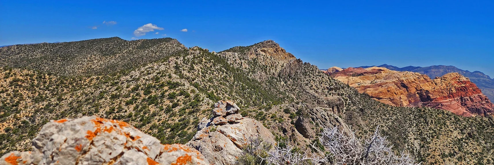 Arrival on The Ridgeline Above South End of Mt. Wilson. View to Rainbow Mt. | Mt Wilson to Hidden Peak | Upper Crest Ridgeline | Rainbow Mountain Wilderness, Nevada