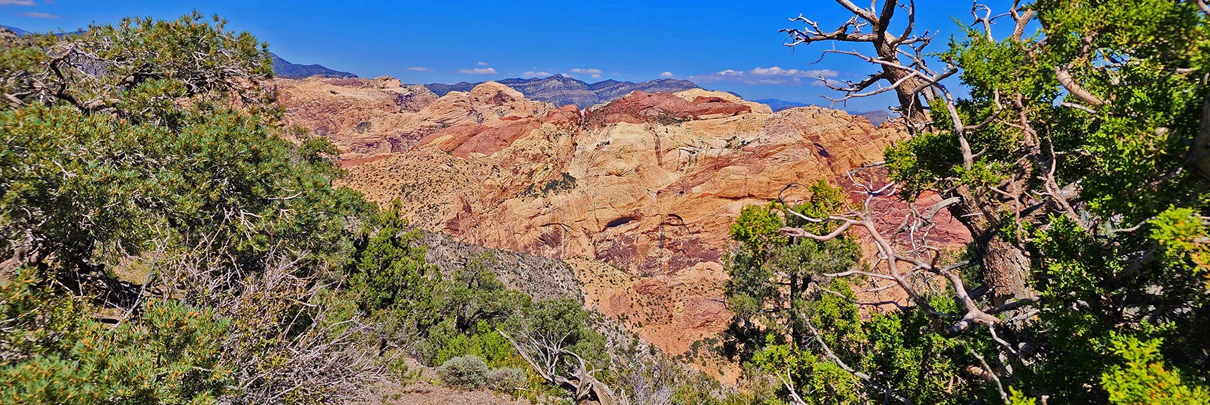 Rainbow Mt., Bridge Mt., Buffalo Wall Plateau, La Madre Mts. Background. | Mt Wilson to Juniper Peak | Rainbow Mountains Upper Crest Ridgeline | Rainbow Mountain Wilderness, Nevada
