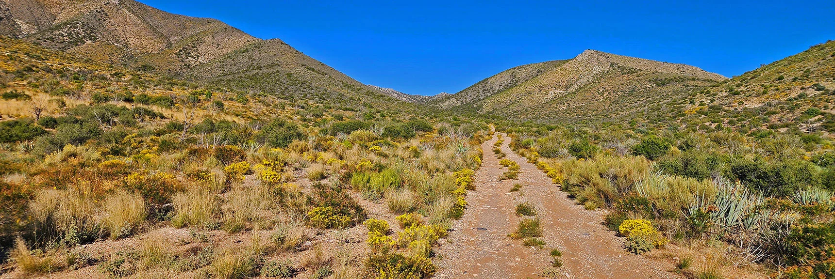 View Back Up Saltgrass Road Through Wilson Ridge Gap. Rainbow Mts. Ridge Beyond. | Mt Wilson to Juniper Peak | Rainbow Mountains Upper Crest Ridgeline | Rainbow Mountain Wilderness, Nevada