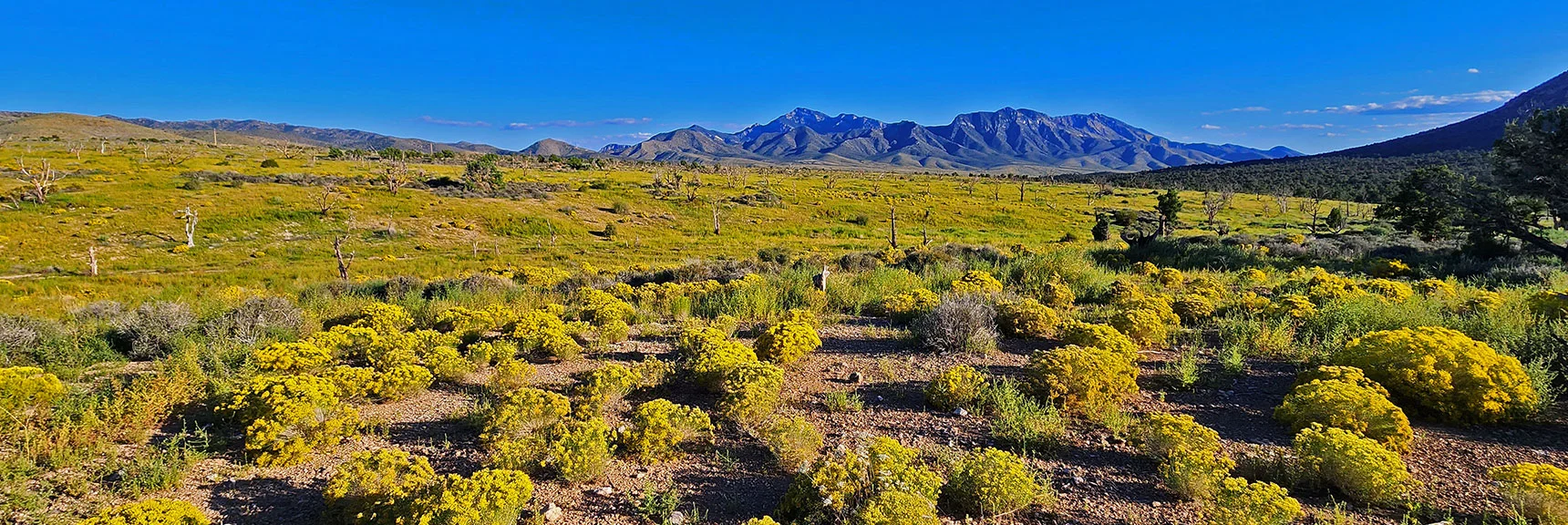 Lovell Canyon to Potosi Mt. Evening View. | Mt Wilson to Juniper Peak | Rainbow Mountains Upper Crest Ridgeline | Rainbow Mountain Wilderness, Nevada