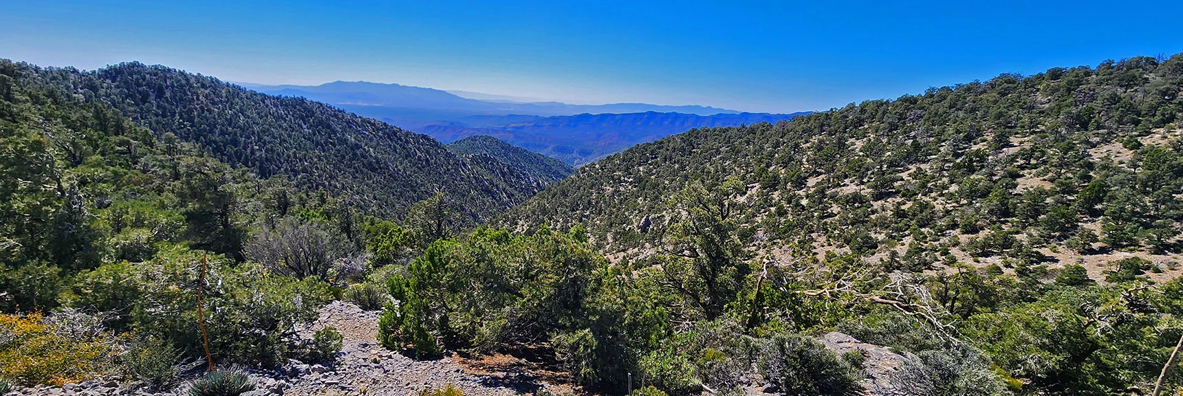 Gully Between First 2 Ascent Ridges North of Rocky Gap. View Toward Lovell Canyon. | Red Rock Summit Loop | Wilson Ridge | Lovell Canyon, Nevada