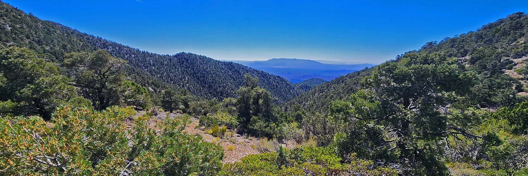 Saddle Between Red Rock Summit and First High Point North. View to Lovell Canyon. | Red Rock Summit Loop | Wilson Ridge | Lovell Canyon, Nevada