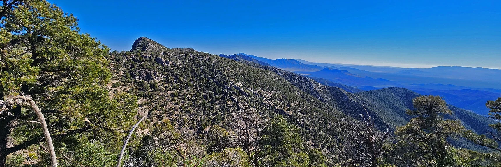 View Back to Red Rock Summit. | Red Rock Summit Loop | Wilson Ridge | Lovell Canyon, Nevada