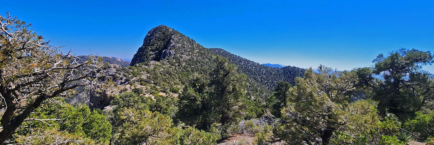 View Back to Red Rock Summit from High Point Just North | Red Rock Summit Loop | Wilson Ridge | Lovell Canyon, Nevada