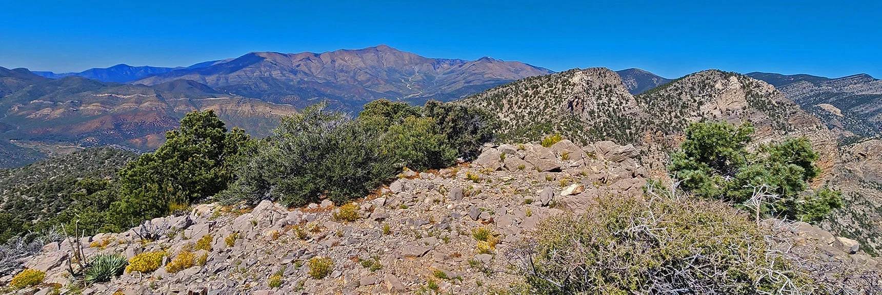 View North Along Wilson Ridgeline to Griffith & Harris Mts. from Red Rock Summit. | Red Rock Summit Loop | Wilson Ridge | Lovell Canyon, Nevada