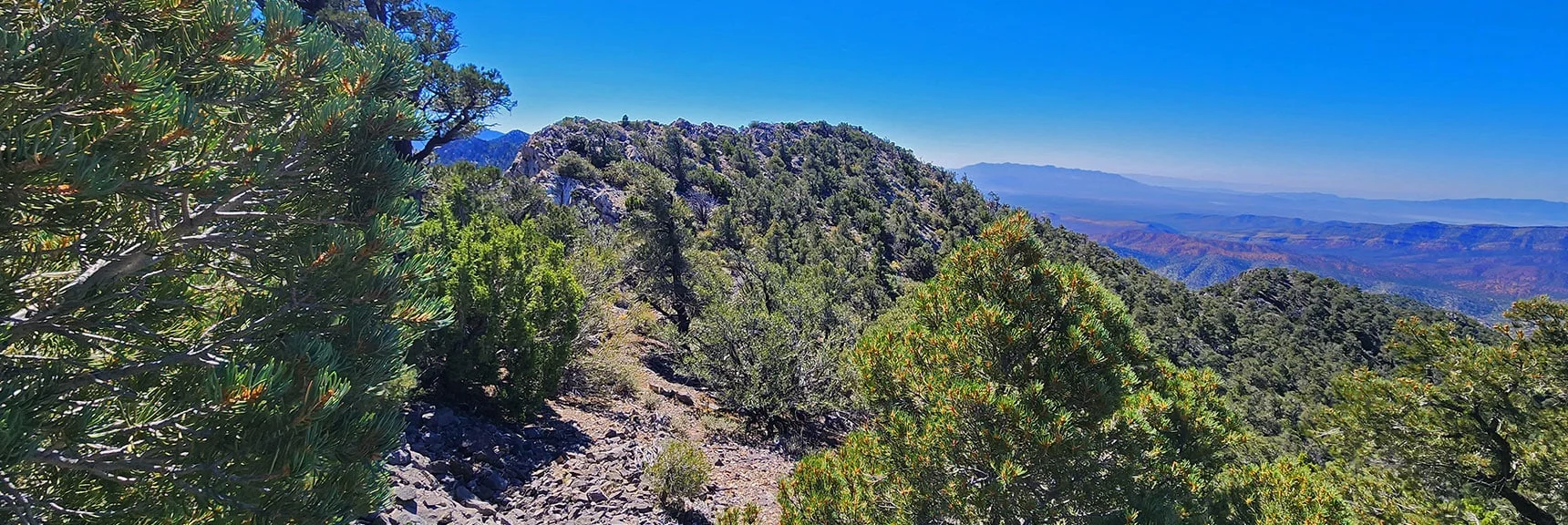 View South to Rocky High Point on Wilson Ridge Above (North of) Rocky Gap Road | Red Rock Summit Loop | Wilson Ridge | Lovell Canyon, Nevada