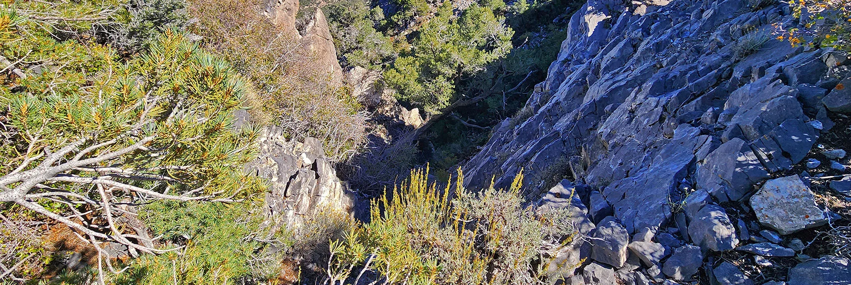 View Down Section of Sheer Head Wall on East (right) Side of Wilson Ridge | Red Rock Summit Loop | Wilson Ridge | Lovell Canyon, Nevada
