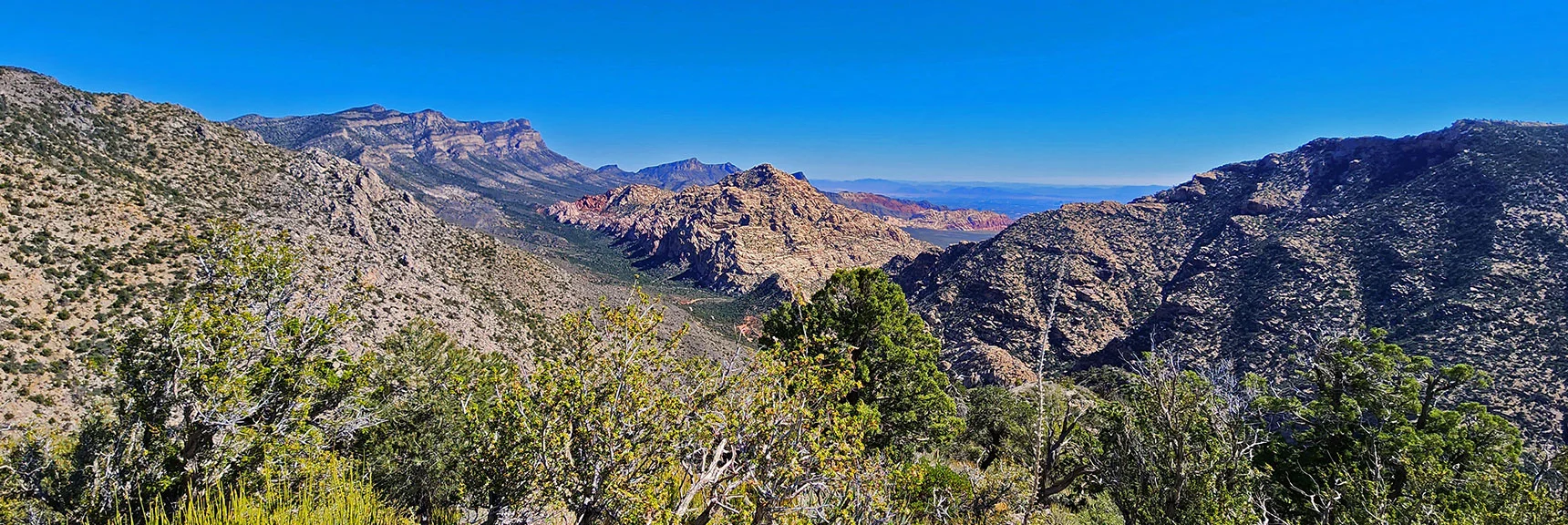 Wilson Ridgeline Base, La Madre Ridgeline & White Rock Mountain | Switchback Spring Ridge | Switchback Spring Ridge | Red Rock Canyon, Nevada