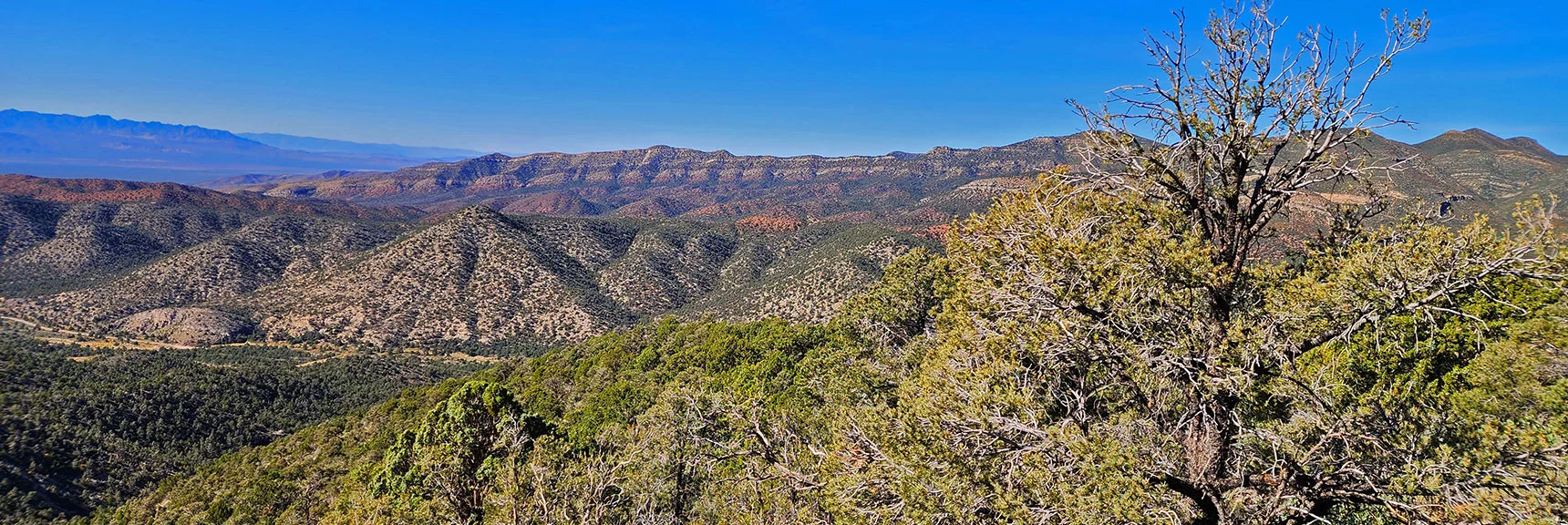 View Down Approach Ridge Across Lovell Canyon | Mini Matterhorn Pinnacle | Wilson Ridge | Lovell Canyon, Nevada