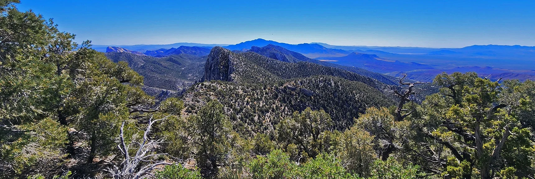 View South Along Wilson Ridgeline. Prominent High Point is Red Rock Summit. | Mini Matterhorn Pinnacle | Wilson Ridge | Lovell Canyon, Nevada