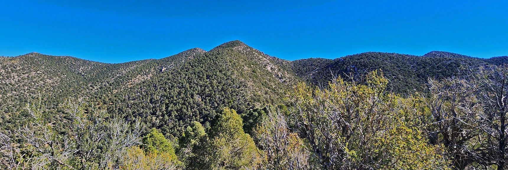 Descent Followed by High Point on Approach Ridge. High Point Summits Reveal Next Stretch. | Mini Matterhorn Pinnacle | Wilson Ridge | Lovell Canyon, Nevada