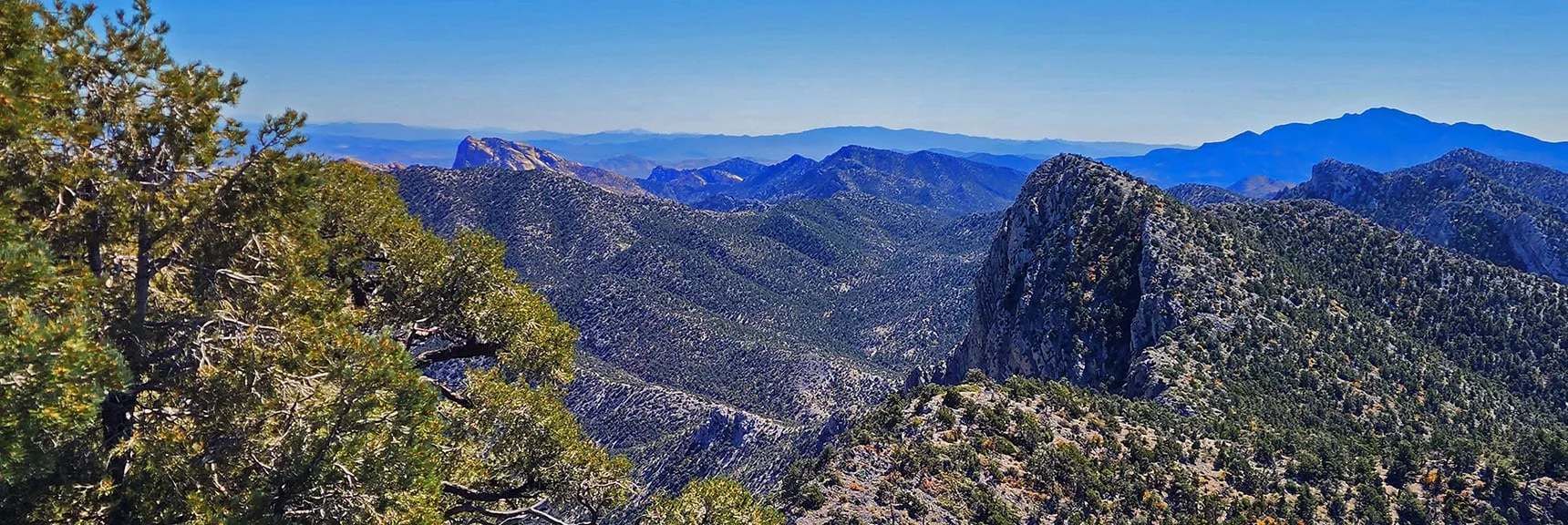 Red Rock Summit on Wilson Ridge; Mt. Wilson Peaking Above Rainbow Mts. Ridgeline to Left. | Mini Matterhorn Pinnacle | Wilson Ridge | Lovell Canyon, Nevada