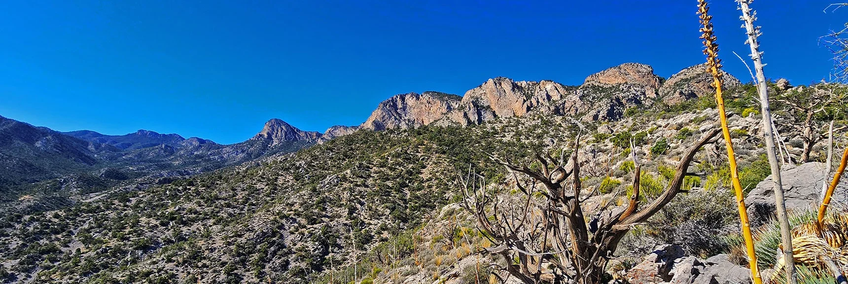 View from Switchback Ridge Below. Red Rock Summit to Left, Pinnacle in Next High Point to Right. | Mini Matterhorn Pinnacle | Wilson Ridge | Lovell Canyon, Nevada