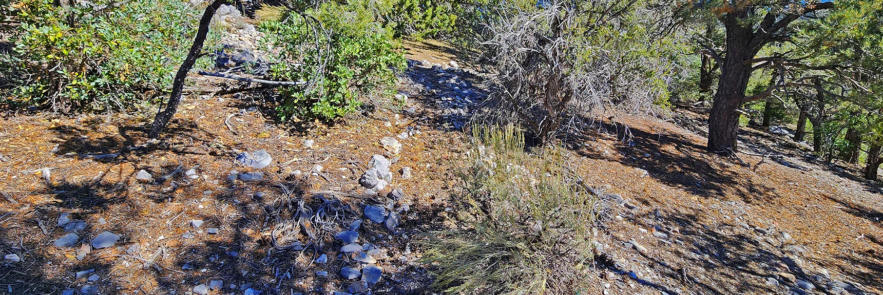 Elaborate Stone Lined Pathway Marks Campsite High on Ridge | Mini Matterhorn Pinnacle | Wilson Ridge | Lovell Canyon, Nevada