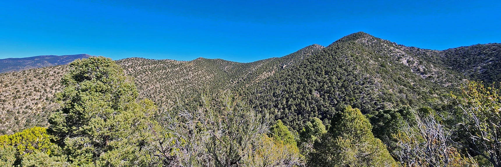 View Up Ridge and Over to Wilson Ridgeline Extending North (left). | Mini Matterhorn Pinnacle | Wilson Ridge | Lovell Canyon, Nevada