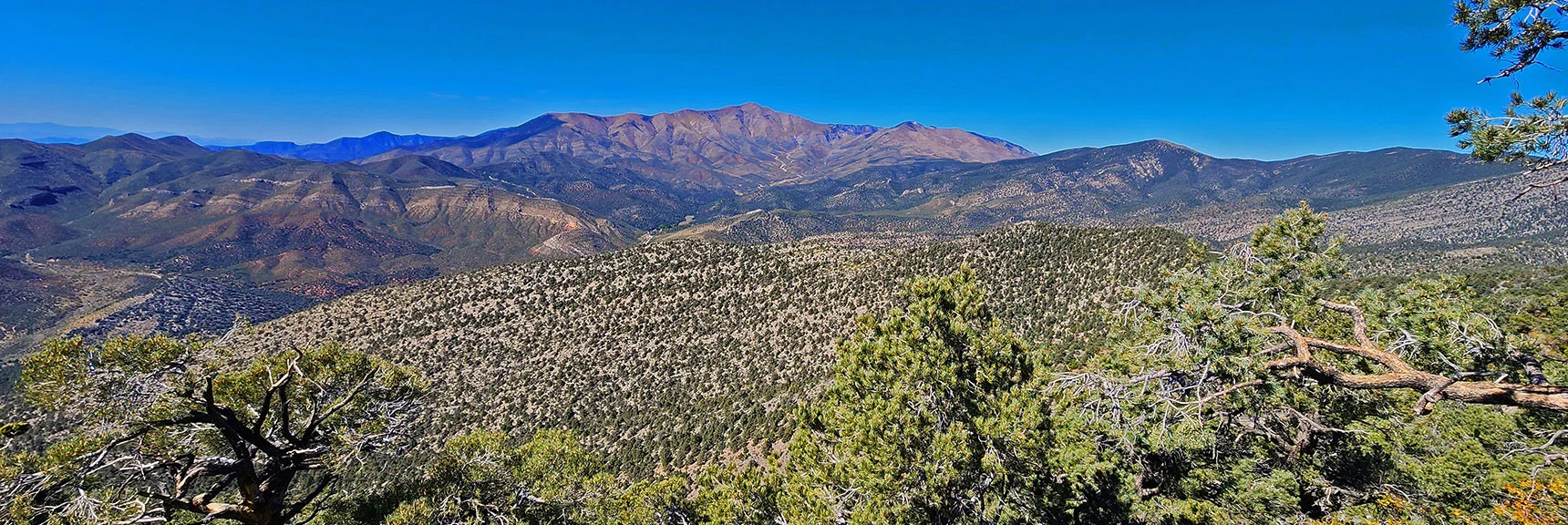 View to Upper Lovell Canyon. | Mini Matterhorn Pinnacle | Wilson Ridge | Lovell Canyon, Nevada