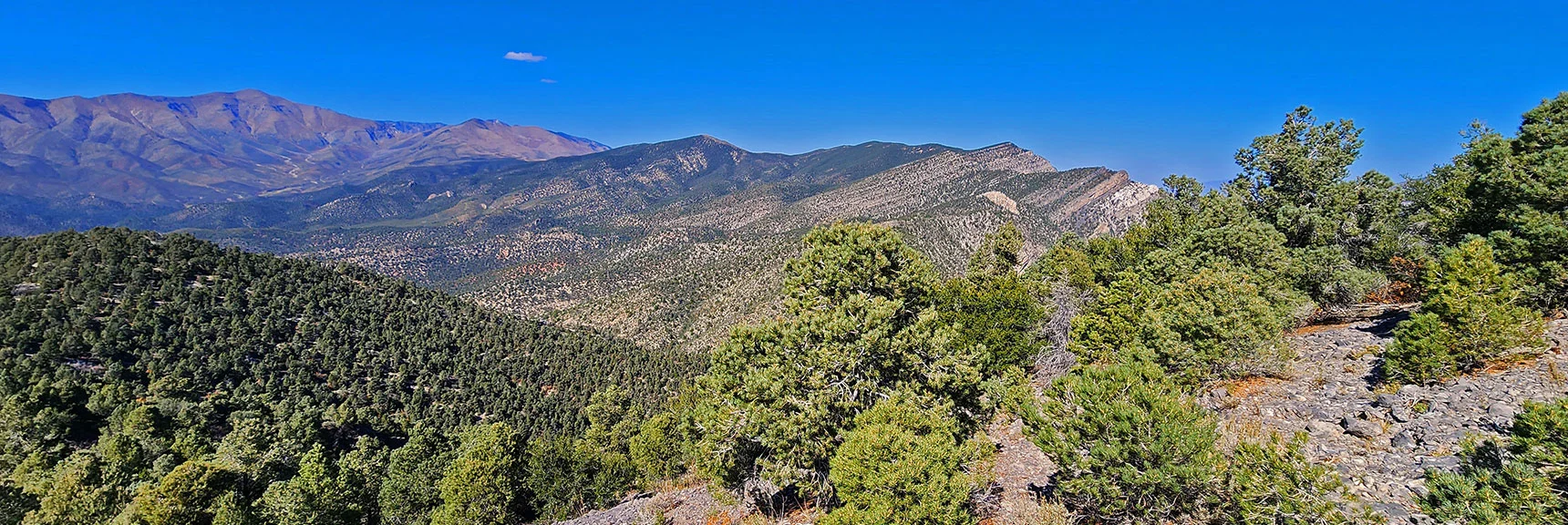 View North Along Wilson Ridgeline from Final Approach. | Mini Matterhorn Pinnacle North Twin | Wilson Ridge | Lovell Canyon & Rainbow Mountains, Nevada