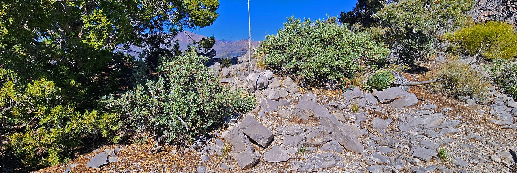 Rough Stairway Above a Potentially Historic Dwelling Site on the Approach Ridge | Mini Matterhorn Pinnacle North Twin | Wilson Ridge | Lovell Canyon & Rainbow Mountains, Nevada