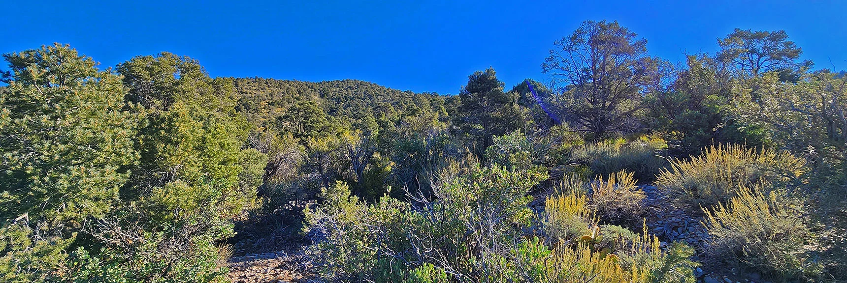 A Significant High Point Above on Ridge. Once on Top Next Stretch Becomes Visible. | Mini Matterhorn Pinnacle North Twin | Wilson Ridge | Lovell Canyon & Rainbow Mountains, Nevada