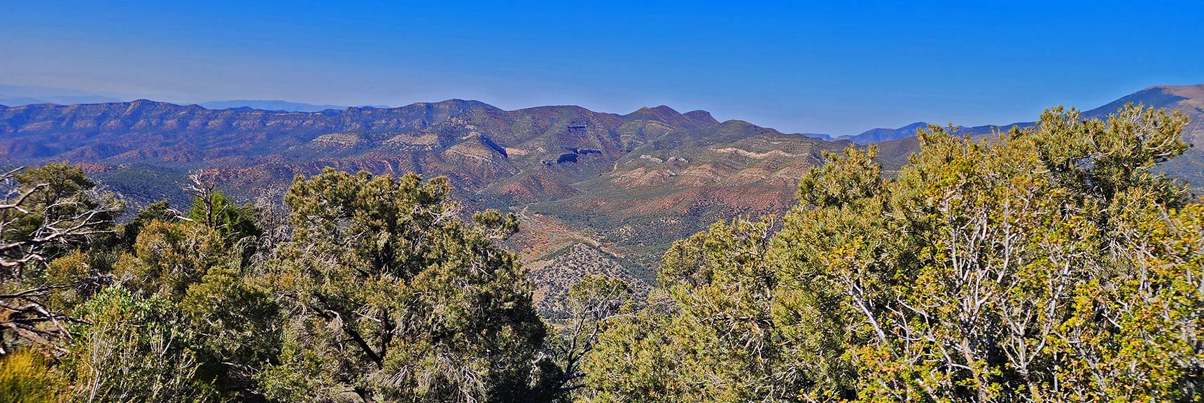 Higher View to West Side of Lovell Canyon. CC Spring Road Visible Below. | Mini Matterhorn Pinnacle North Twin | Wilson Ridge | Lovell Canyon & Rainbow Mountains, Nevada