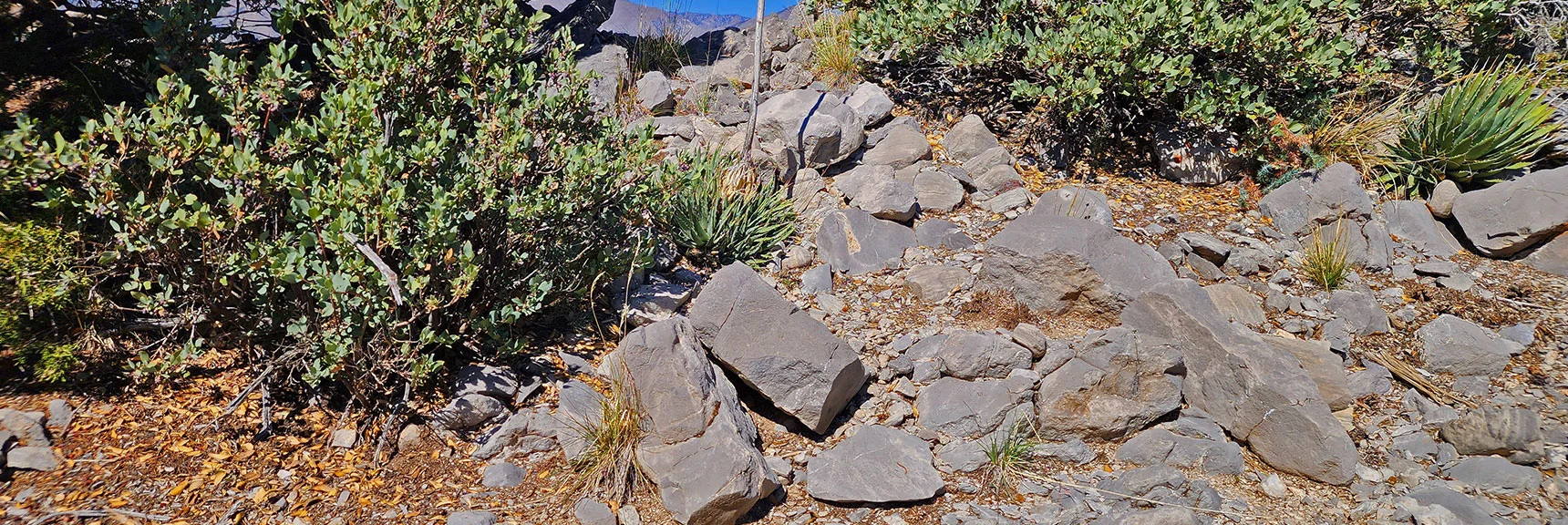 Closer Look at That Stairway. Large Stones were Placed Requiring Significant Effort. | Mini Matterhorn Pinnacle North Twin | Wilson Ridge | Lovell Canyon & Rainbow Mountains, Nevada
