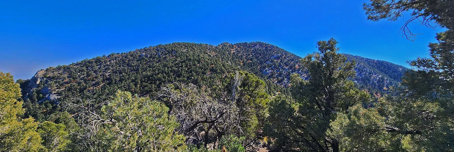 Final Saddle Descent, then Ascent to Wilson Ridge. Very Thick Brush in Saddle! | Mini Matterhorn Pinnacle North Twin | Wilson Ridge | Lovell Canyon & Rainbow Mountains, Nevada
