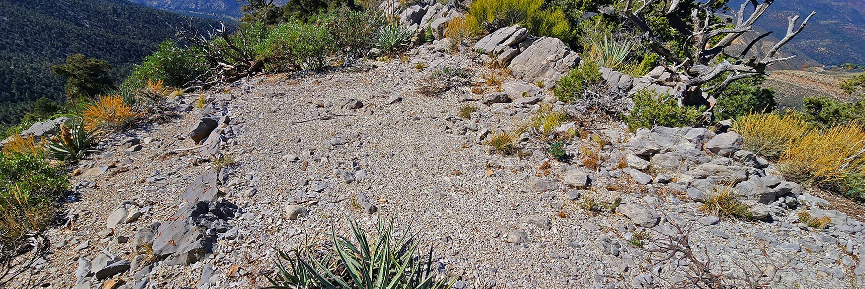 Another Possible Dwelling Site, Leveled Area, More Historic. | Mini Matterhorn Pinnacle North Twin | Wilson Ridge | Lovell Canyon & Rainbow Mountains, Nevada