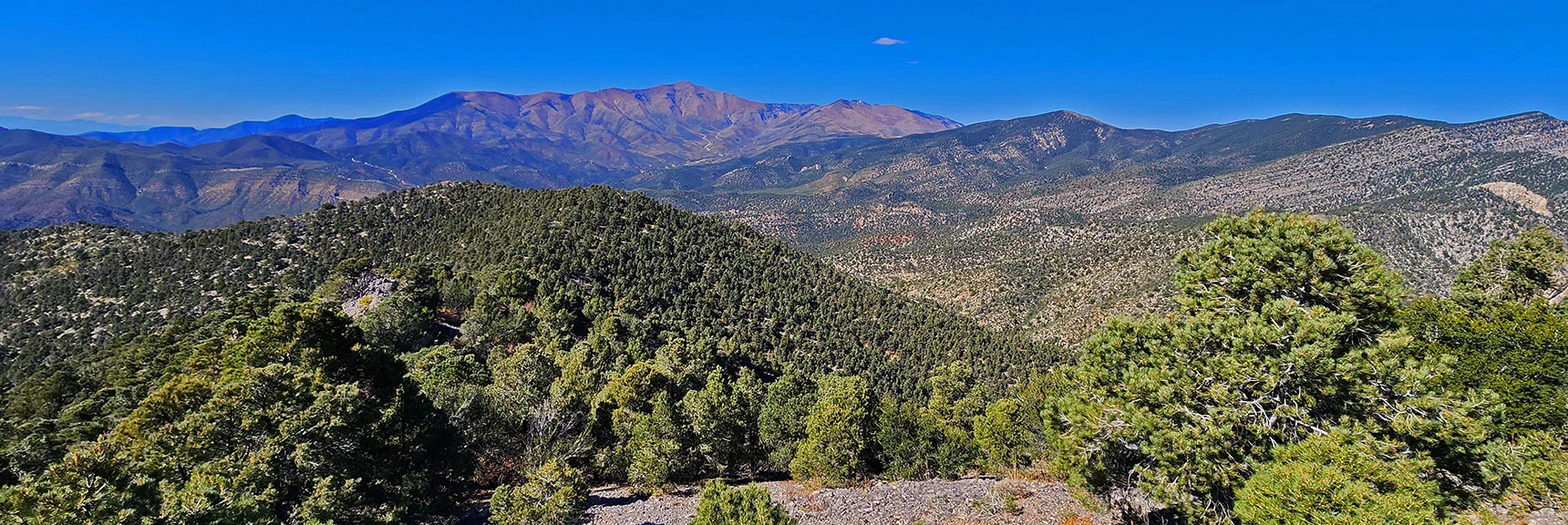 View North to Upper Lovell Canyon, Griffith Peak and Harris Mt. | Mini Matterhorn Pinnacle North Twin | Wilson Ridge | Lovell Canyon & Rainbow Mountains, Nevada