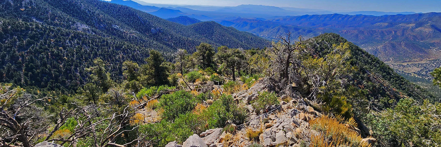 View Back Down the Approach Ridge from the Cairn High Point. | Mini Matterhorn Pinnacle North Twin | Wilson Ridge | Lovell Canyon & Rainbow Mountains, Nevada
