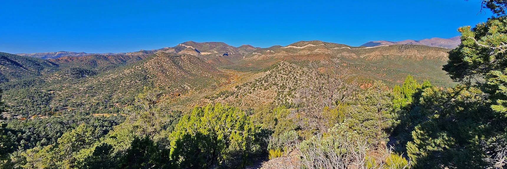 View Back Down Ascent Ridge to West Side of Lovell Canyon | Mini Matterhorn Pinnacle North Twin | Wilson Ridge | Lovell Canyon & Rainbow Mountains, Nevada