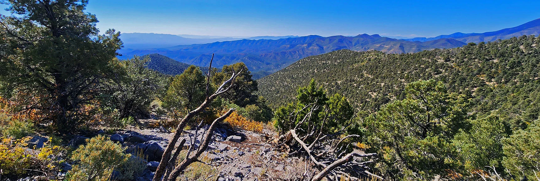 Looking Back Across Saddle and Down the Approach Ridge. Important to Note Return Route. | Mini Matterhorn Pinnacle North Twin | Wilson Ridge | Lovell Canyon & Rainbow Mountains, Nevada