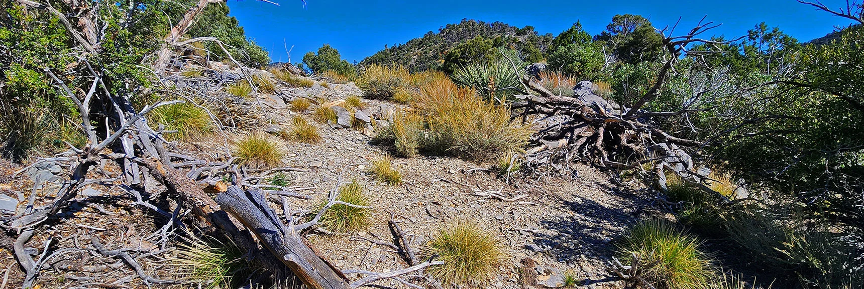 Campsite with Windbreaks and Fire Ring on Mid-Ridge | Mini Matterhorn Pinnacle North Twin | Wilson Ridge | Lovell Canyon & Rainbow Mountains, Nevada
