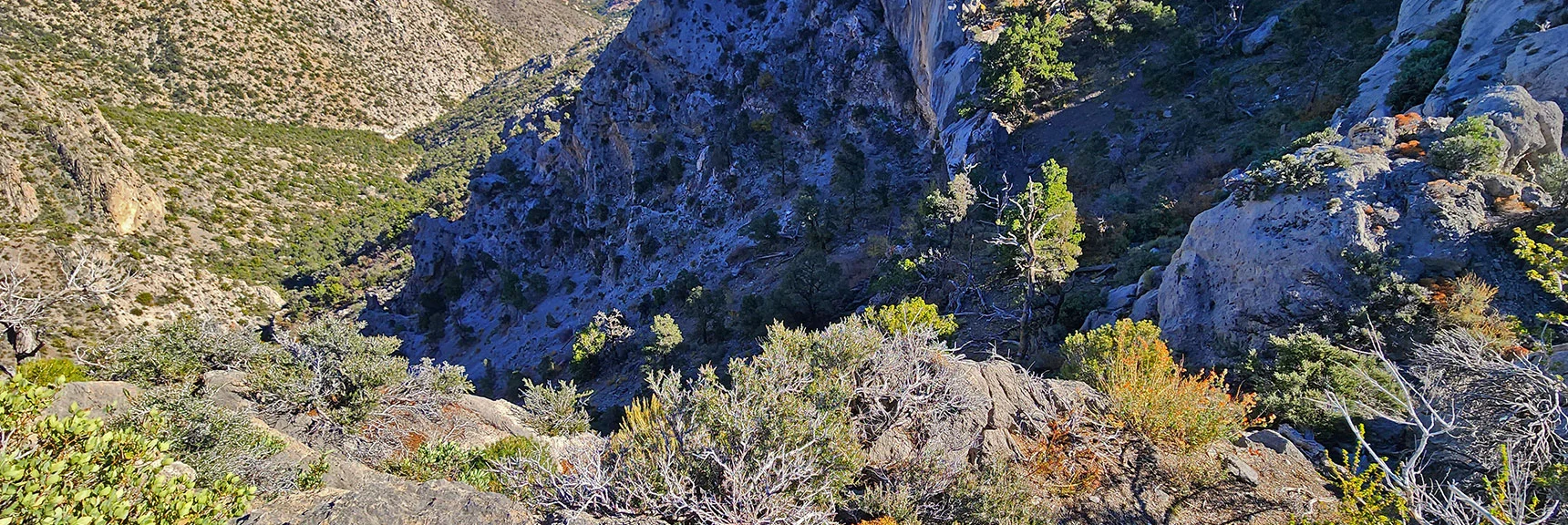 Potential Descent Route Takes a Plunge on Loose Rock. Will Explore from Bottom Up. | Switchback Spring Pinnacle | Wilson Ridge | Lovell Canyon, Nevada