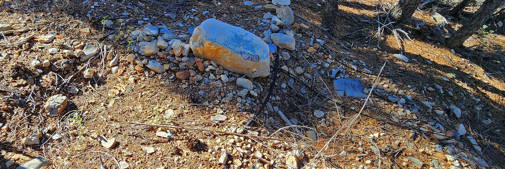 Irrigation System Spanned Over 100 Yards | Switchback Spring Pinnacle | Wilson Ridge | Lovell Canyon, Nevada