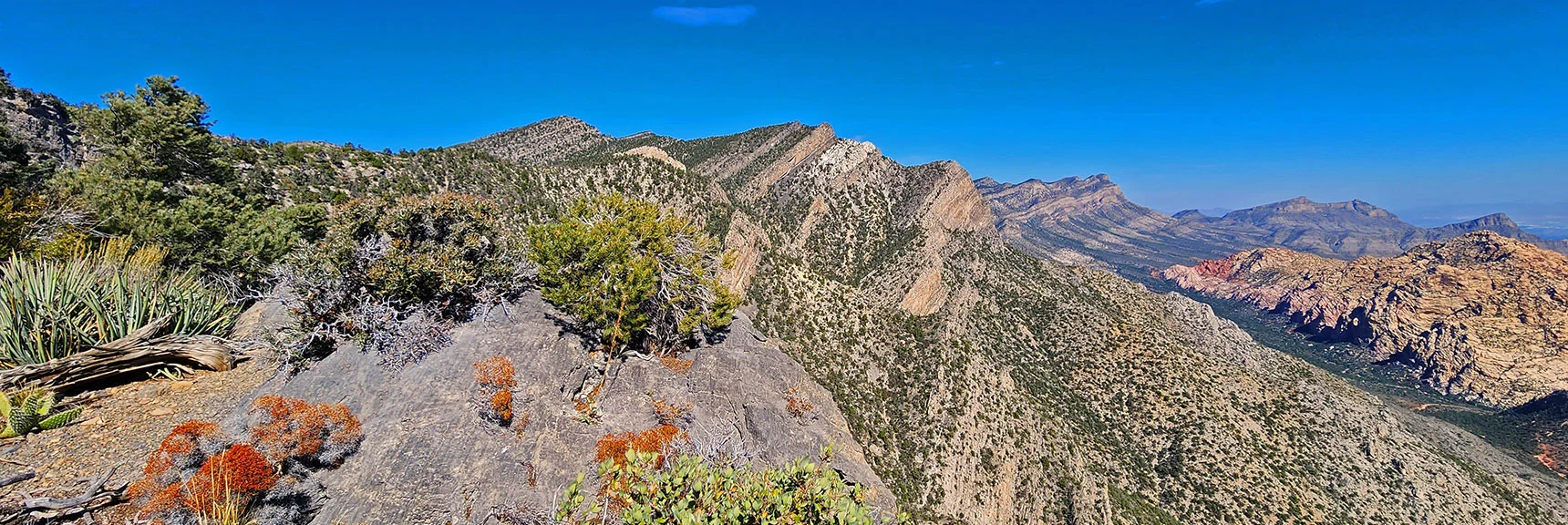 View North on Wilson Ridgeline. La Madre Ridgeline and Red Rock Canyon to Right | Switchback Spring Pinnacle | Wilson Ridge | Lovell Canyon, Nevada