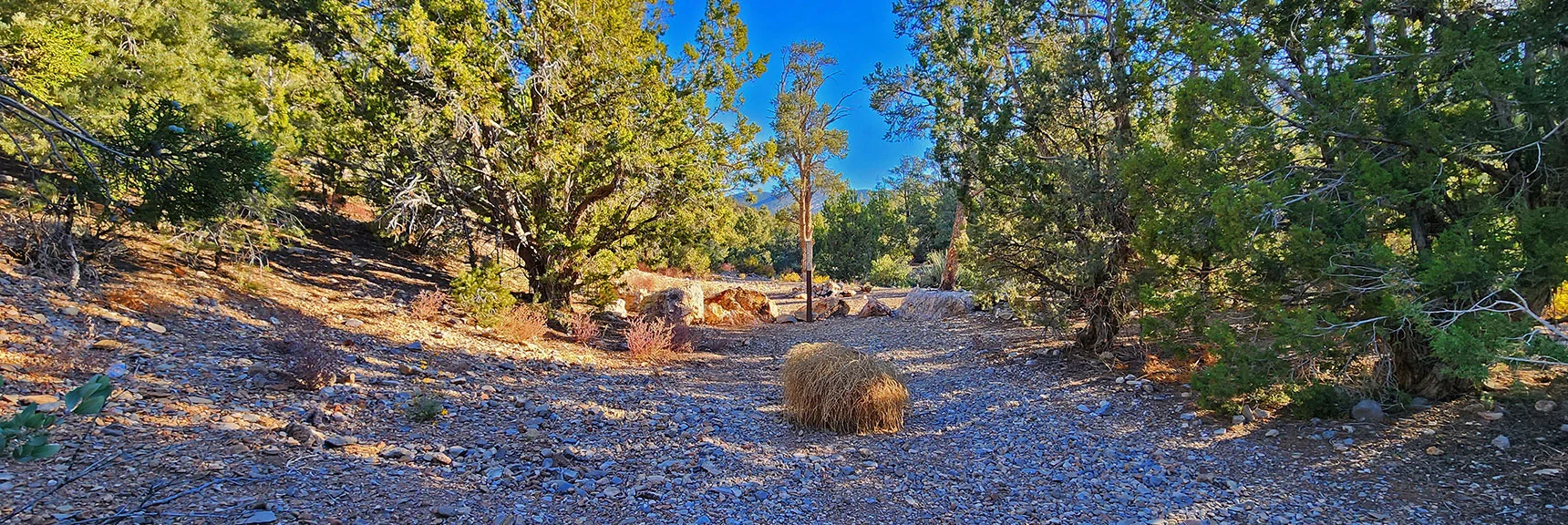 Enter the Wide Gully Wash Area Heading East Toward the Wilson Ridgeline. | Switchback Spring Pinnacle | Wilson Ridge | Lovell Canyon, Nevada