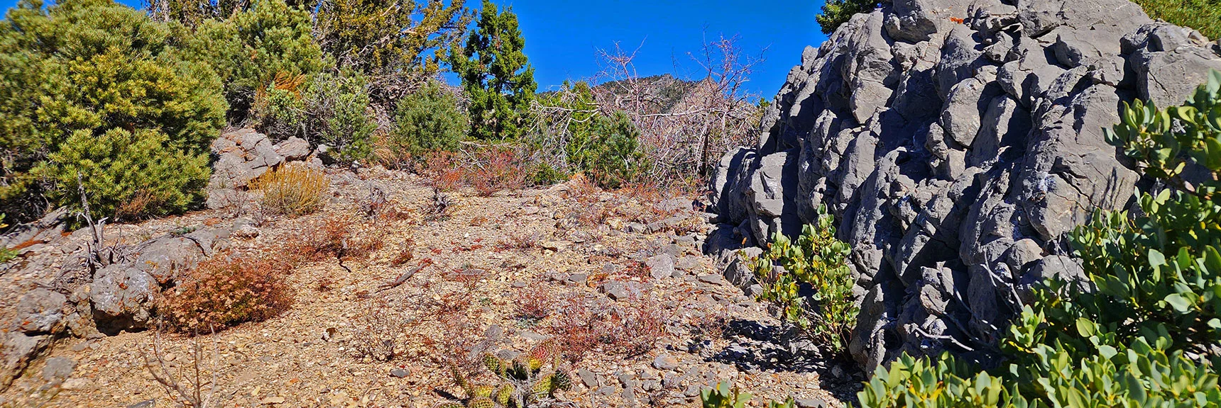 Closer View of Potential Dwelling Space. Would Be Cooler Summer Native American Home. | Switchback Spring Pinnacle | Wilson Ridge | Lovell Canyon, Nevada