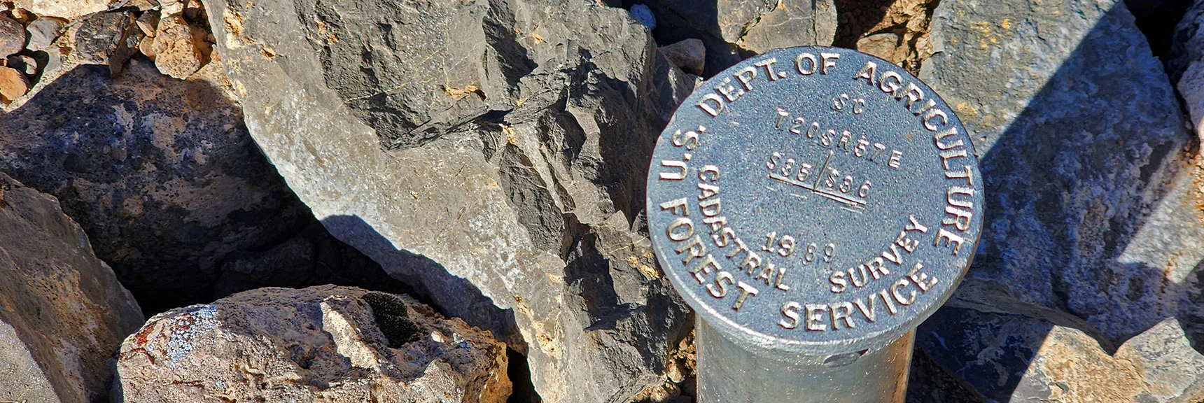 Dept. of Agriculture Survey Marker in General Area of Irrigation System | Switchback Spring Pinnacle | Wilson Ridge | Lovell Canyon, Nevada