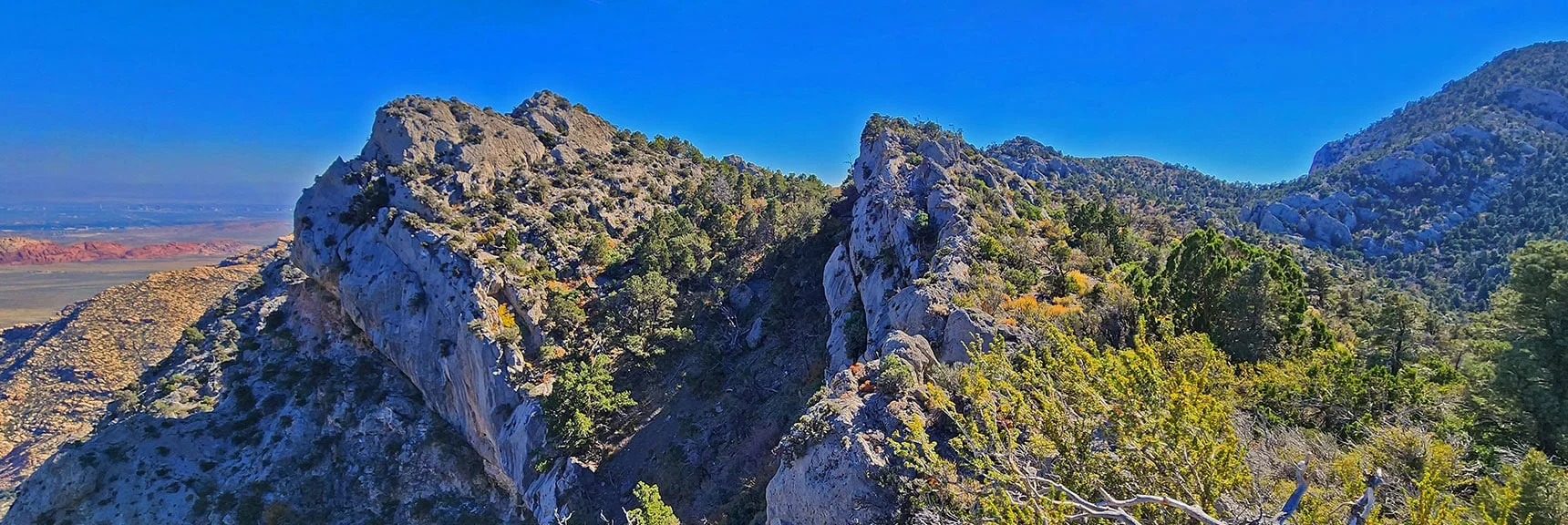 Upper Section of Potential Descent Route. Left Side Fairly Gradual But Above Steep Ledge. | Switchback Spring Pinnacle | Wilson Ridge | Lovell Canyon, Nevada