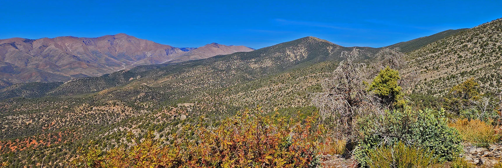Wilson Ridge Southern High Point to Right of Harris Mt. (Ridge North High Point) | Switchback Spring Pinnacle | Wilson Ridge | Lovell Canyon, Nevada