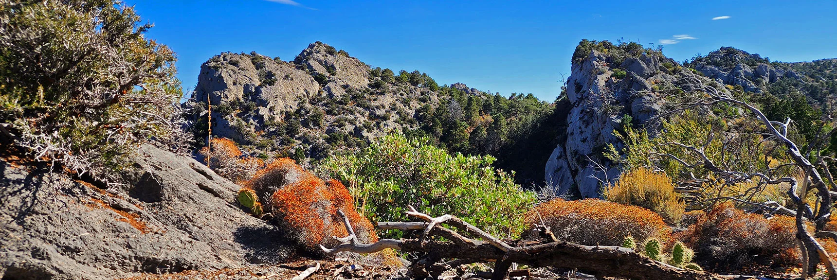 Switchback Spring Pinnacle from a Nice Camping Area Just South | Switchback Spring Pinnacle | Wilson Ridge | Lovell Canyon, Nevada