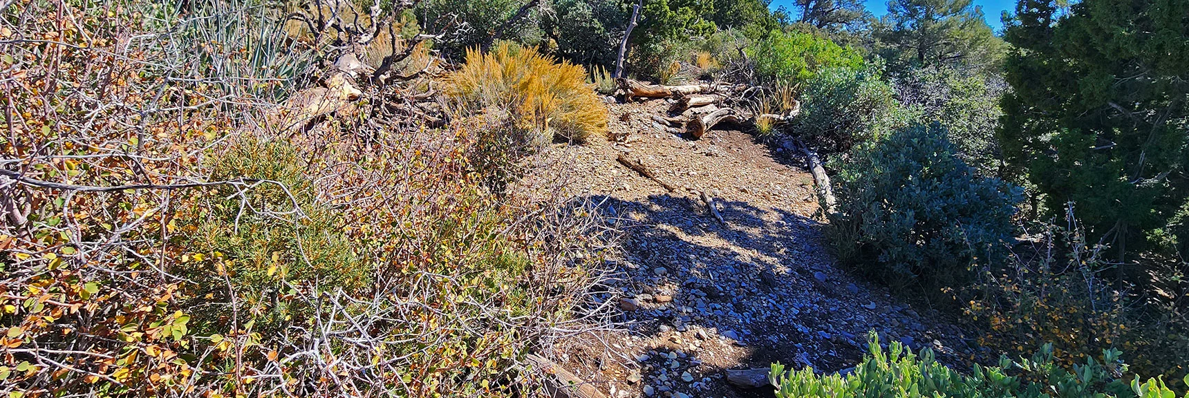 Another Potential Dwelling Space. Possibly Used by Native Americans? | Switchback Spring Pinnacle | Wilson Ridge | Lovell Canyon, Nevada